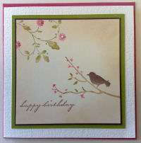 birthday bird